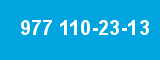 977 110-23-13